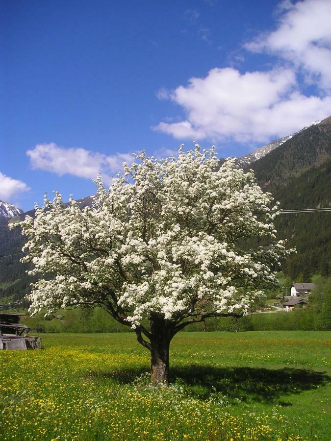 Bauernhof Müllerhof Antholz Mittertal