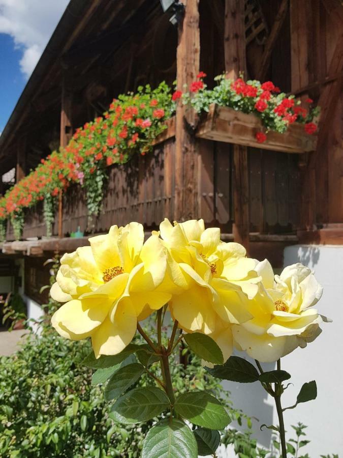 Séjour à la ferme Muellerhof